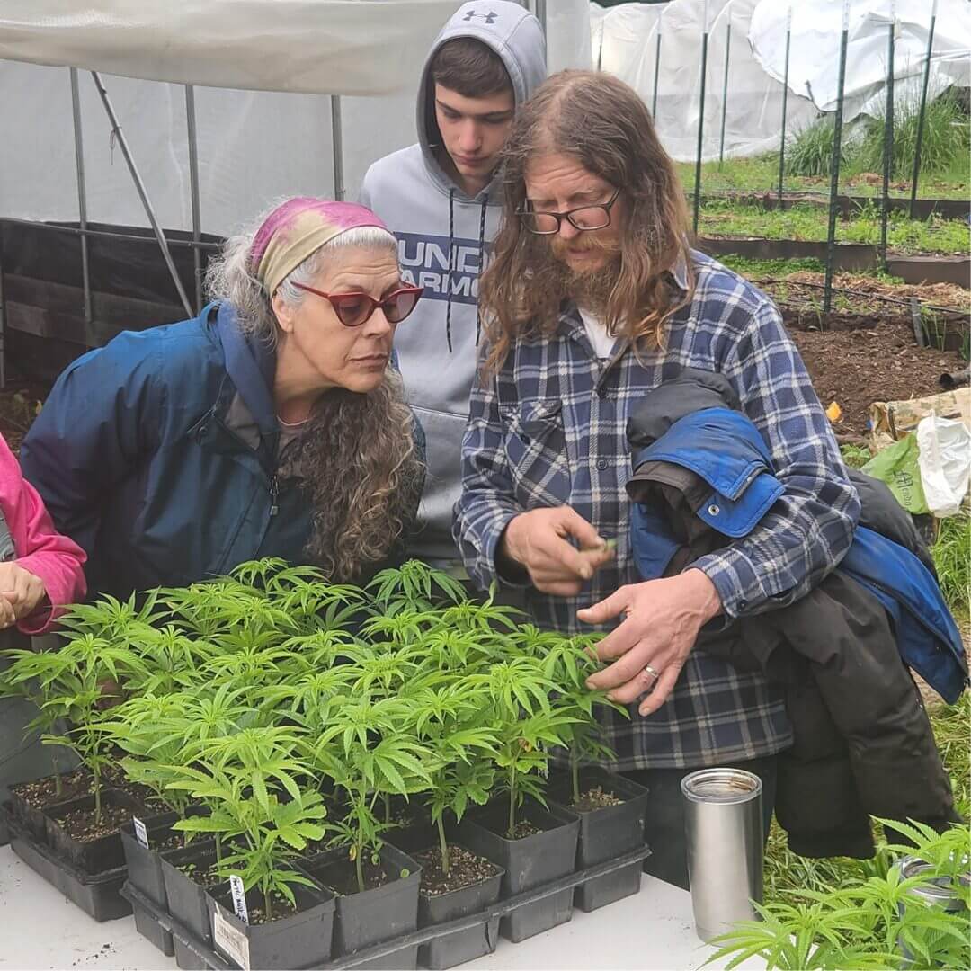 an image of wwoofers learning on the farm